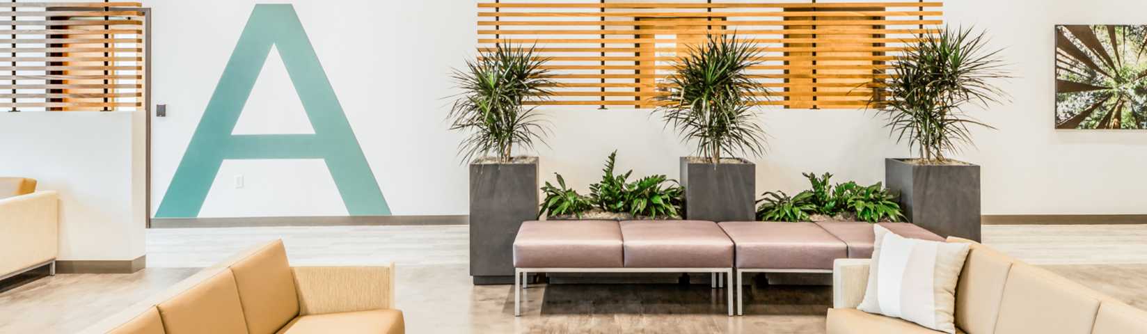 Branded Environments